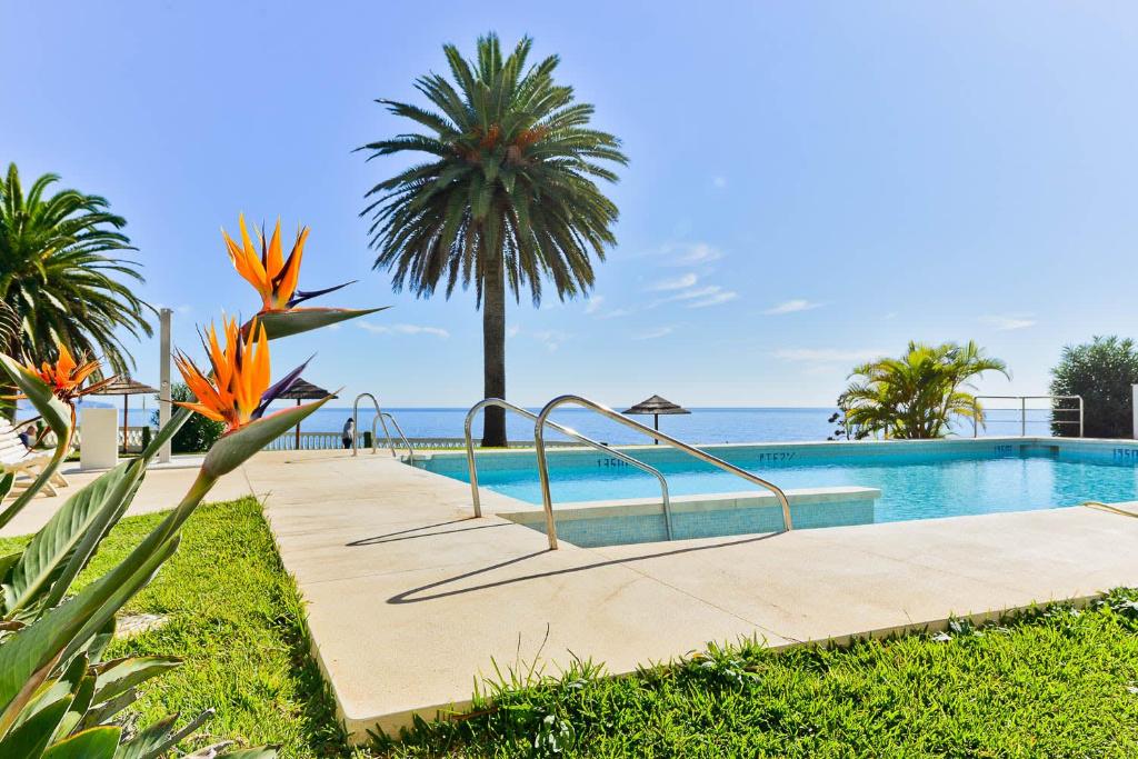 a swimming pool with a palm tree and the ocean at Acapulco Playa in Nerja