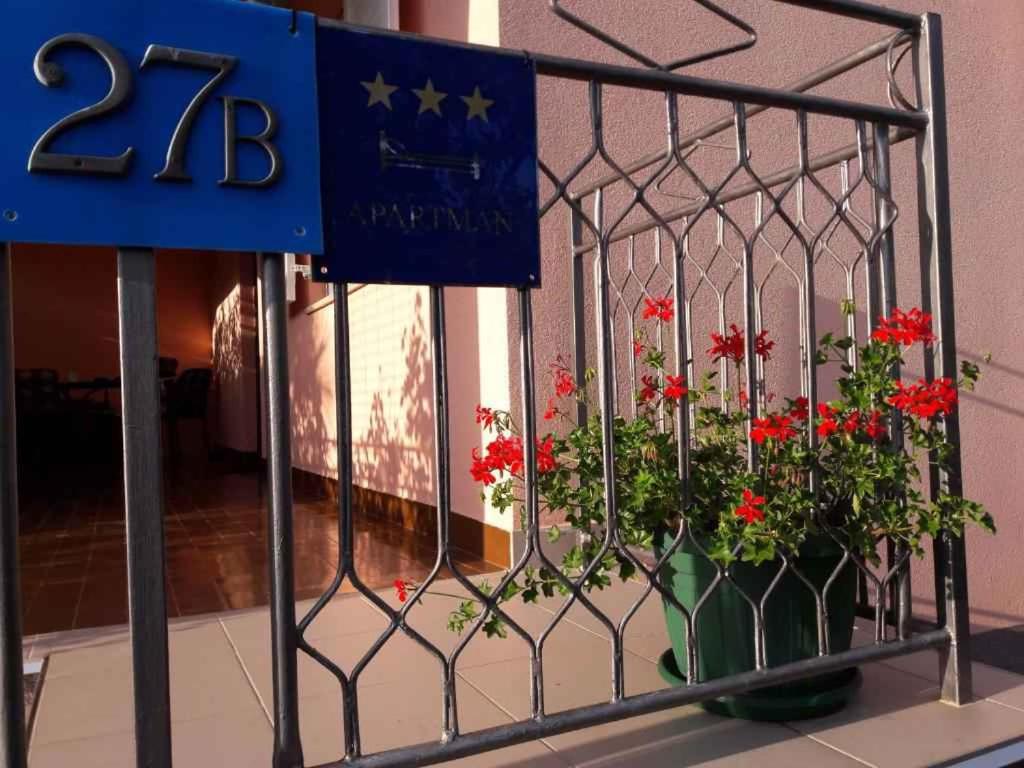 Fotografie z fotogalerie ubytování Apartment in Labin/Istrien 8875 v destinaci Raša
