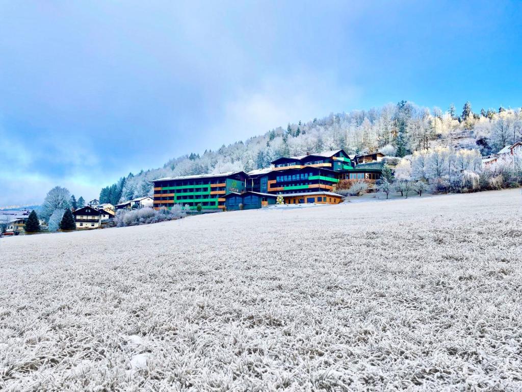 Natura Hotel Bodenmais – Photos 1