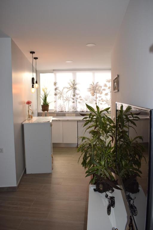Apartamento Ladevesa, Elche – Precios actualizados 2023
