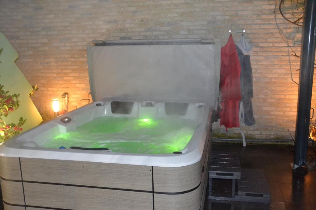 a bath tub with a green liquid inside of it at Ter Thuyne in Ieper