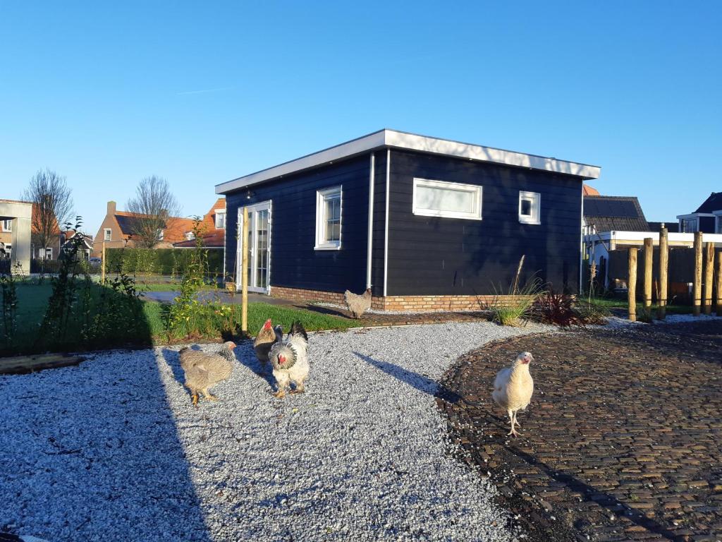 Fotografie z fotogalerie ubytování Recreatiewoning Den Hollander v destinaci Aagtekerke