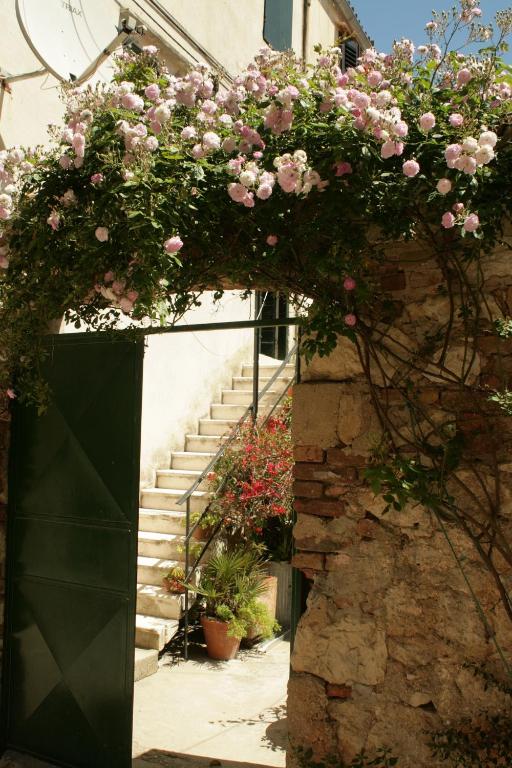 Zahrada ubytování Lovely apartment in old part of Vis