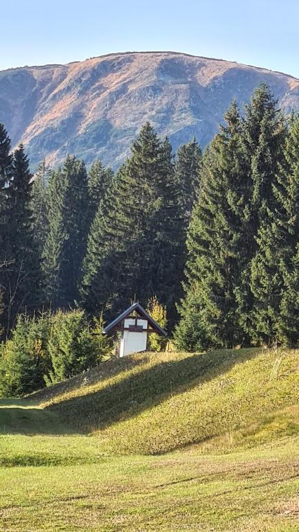Příroda nedaleko apartmánu