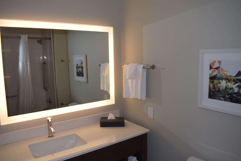 Koupelna v ubytování La Quinta Inn & Suites by Wyndham Middletown-Goshen
