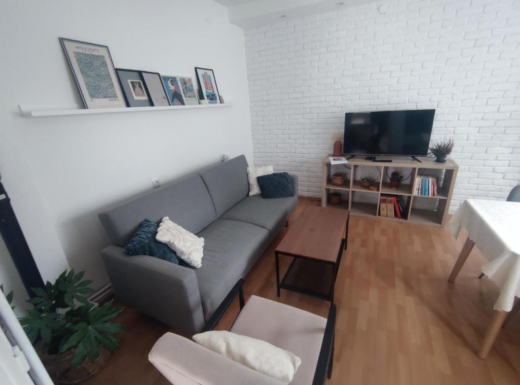 Vila Maksim Sokobanja في سوكو بانيا: غرفة معيشة مع أريكة وتلفزيون