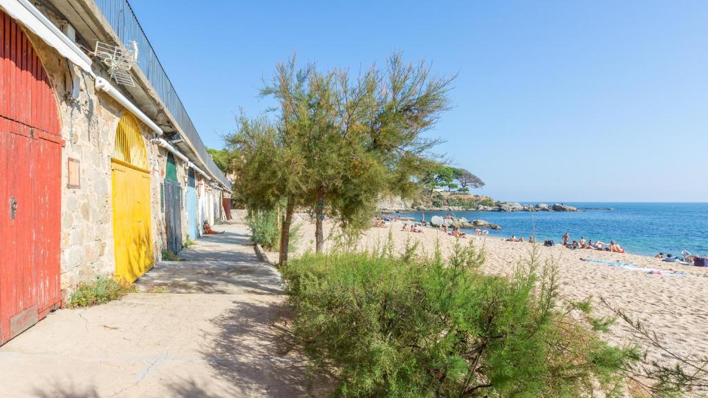 Příroda nedaleko apartmánu