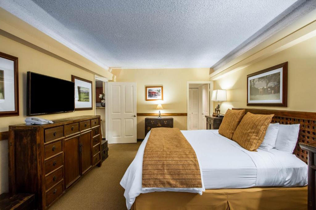 The Equus - One Bedroom Suite With Kitchenette