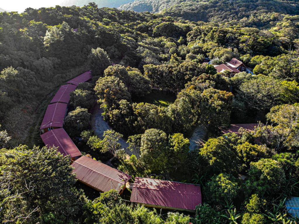 an aerial view of a train traveling through a forest at El Bosque Lodging in Monteverde Costa Rica