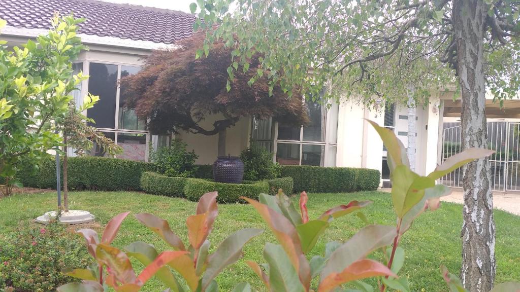 a house with plants in front of it at Sweet Holiday Home by the Golf Course in Canberra