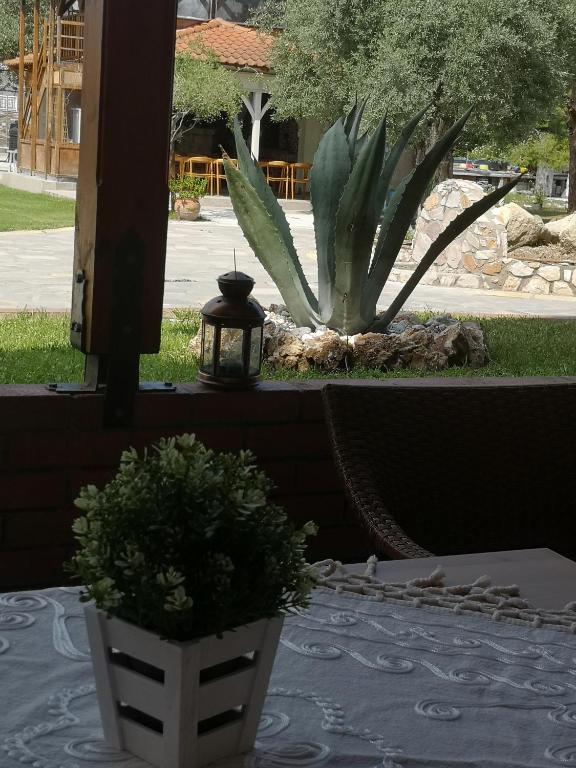 Zahrada ubytování Makis Nest Apart-Hotel