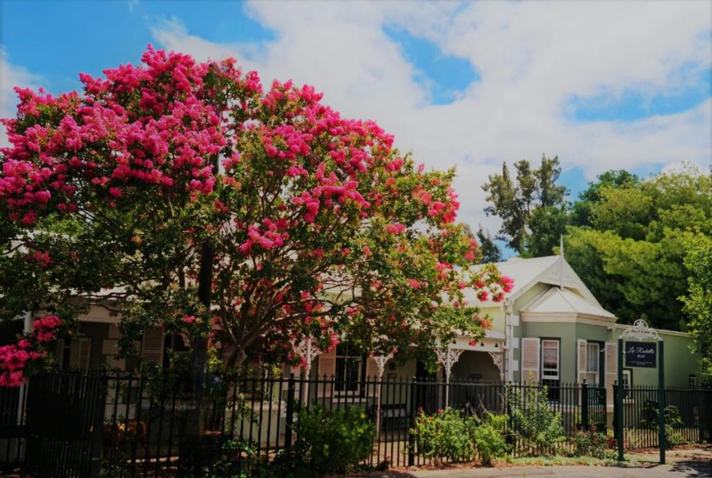 a tree with pink flowers in front of a house at La Rochelle in Wellington