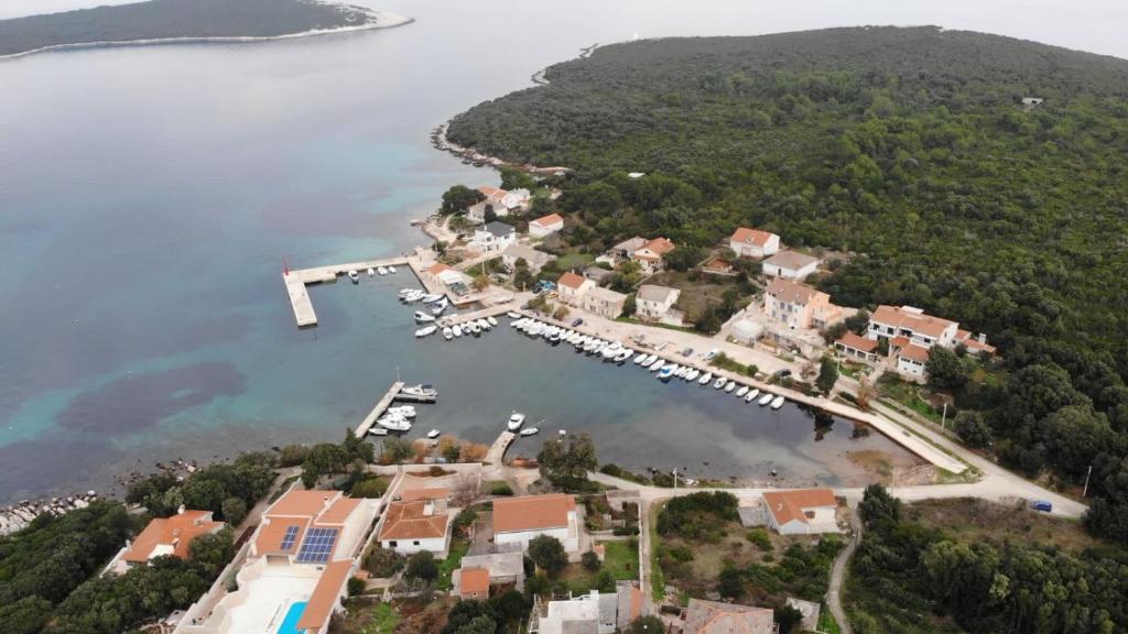 an aerial view of a small island with a marina at Apartmani Marija in Molat