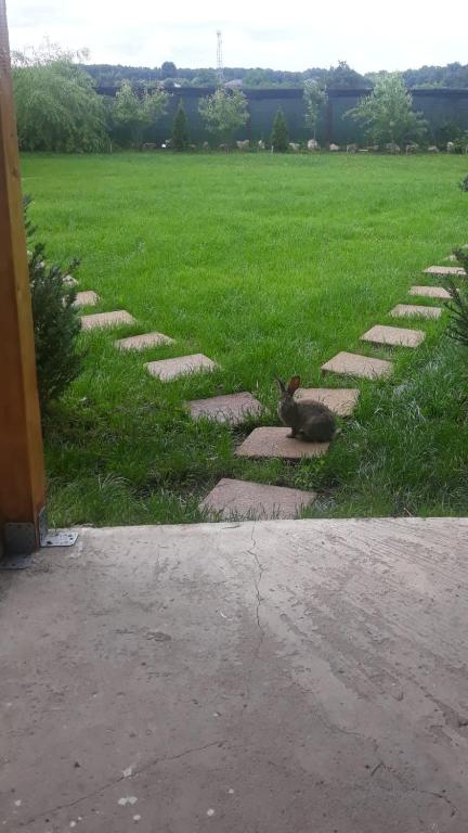 Zahrada ubytování Garden Pypa