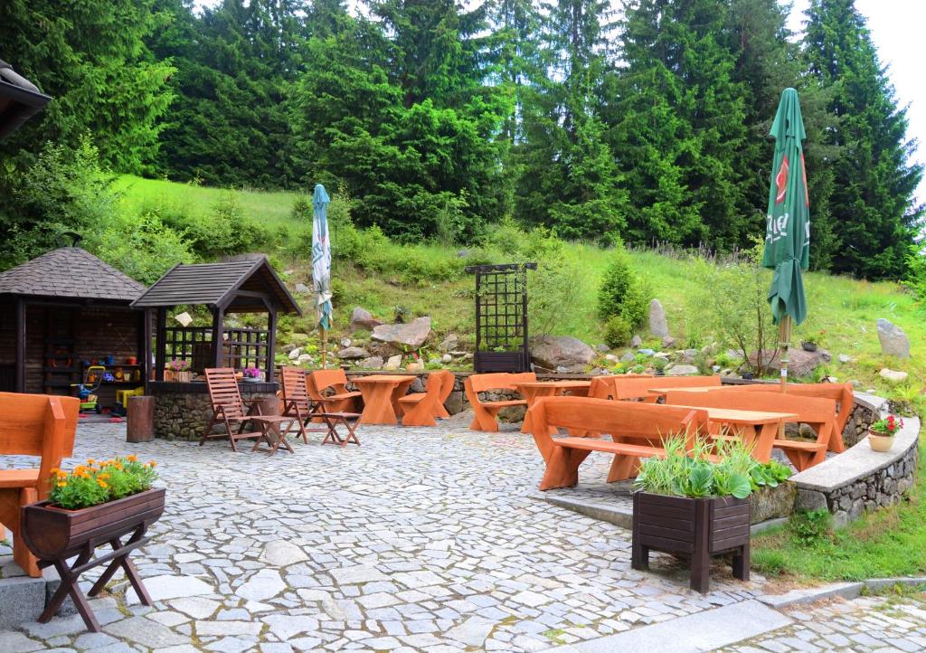 Zahrada ubytování Hotel Modrava