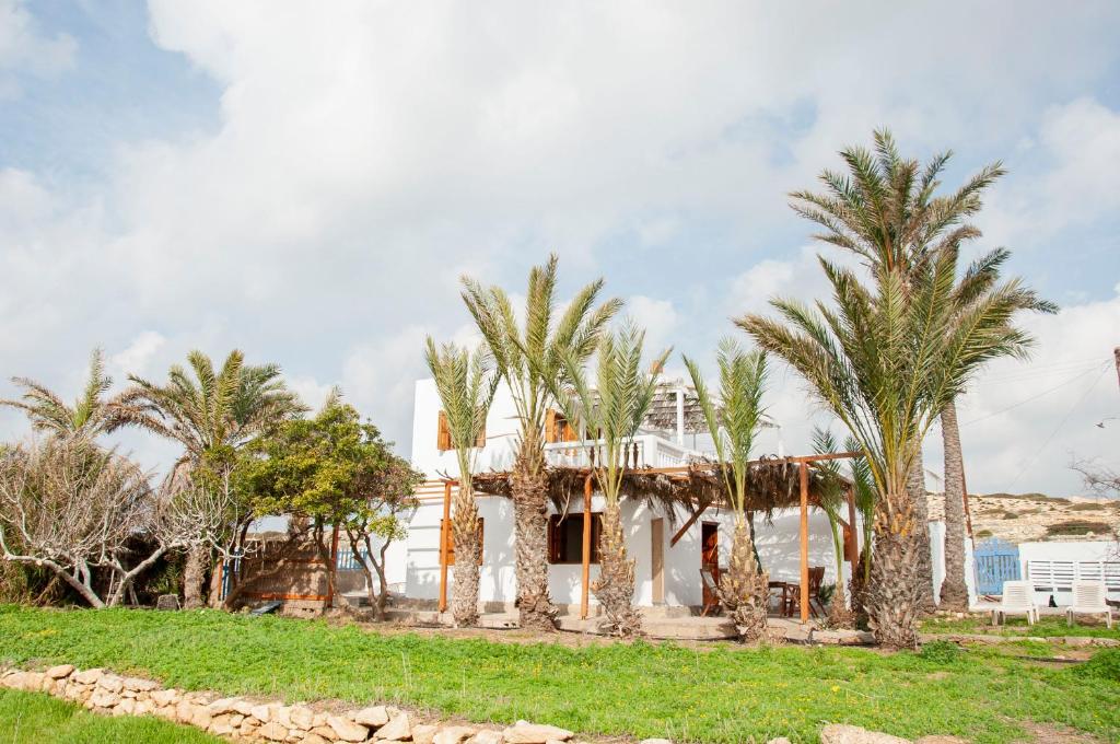 a house with palm trees in front of it at Palmhouses in Afiartis