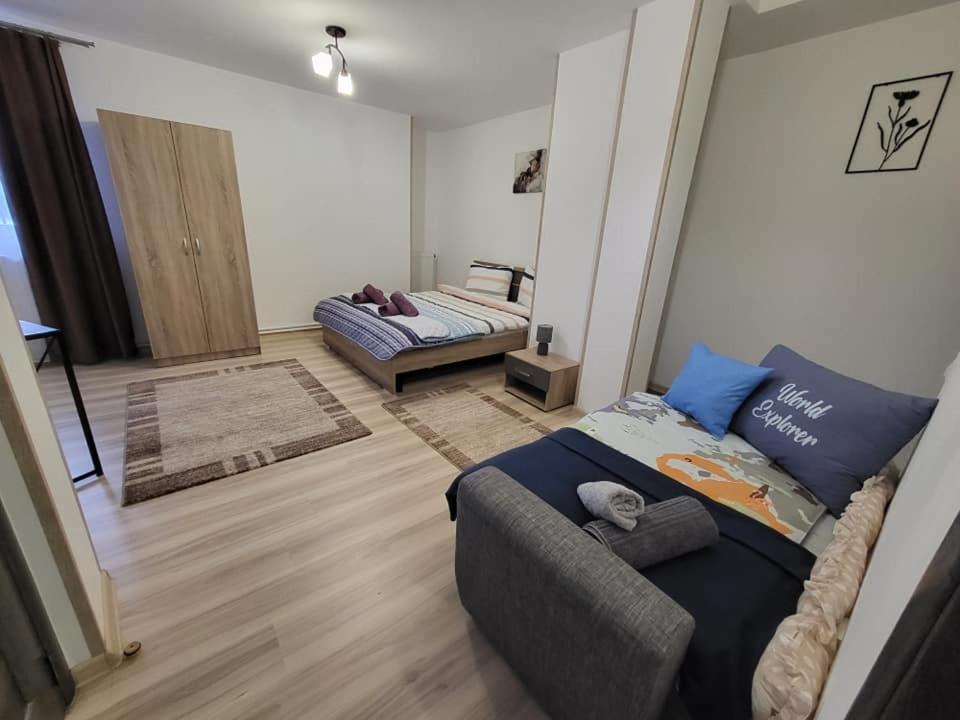a bedroom with a bed and a couch in a room at Casa 115 Toplița in Topliţa