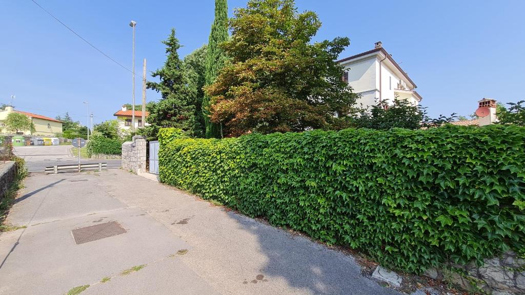 Okolica w pobliżu tego apartamentu