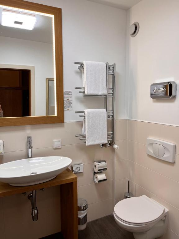 Koupelna v ubytování Hotel Löwen