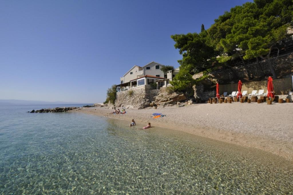 Príroda v okolí apartmánu