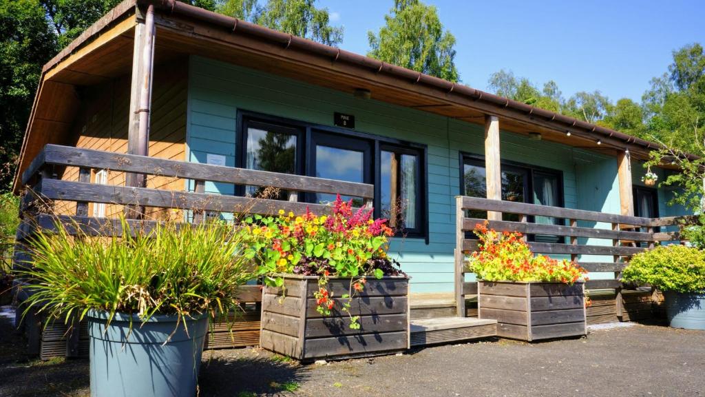 una pequeña casa verde con flores delante en Woodland Pine Lodge, en Killin
