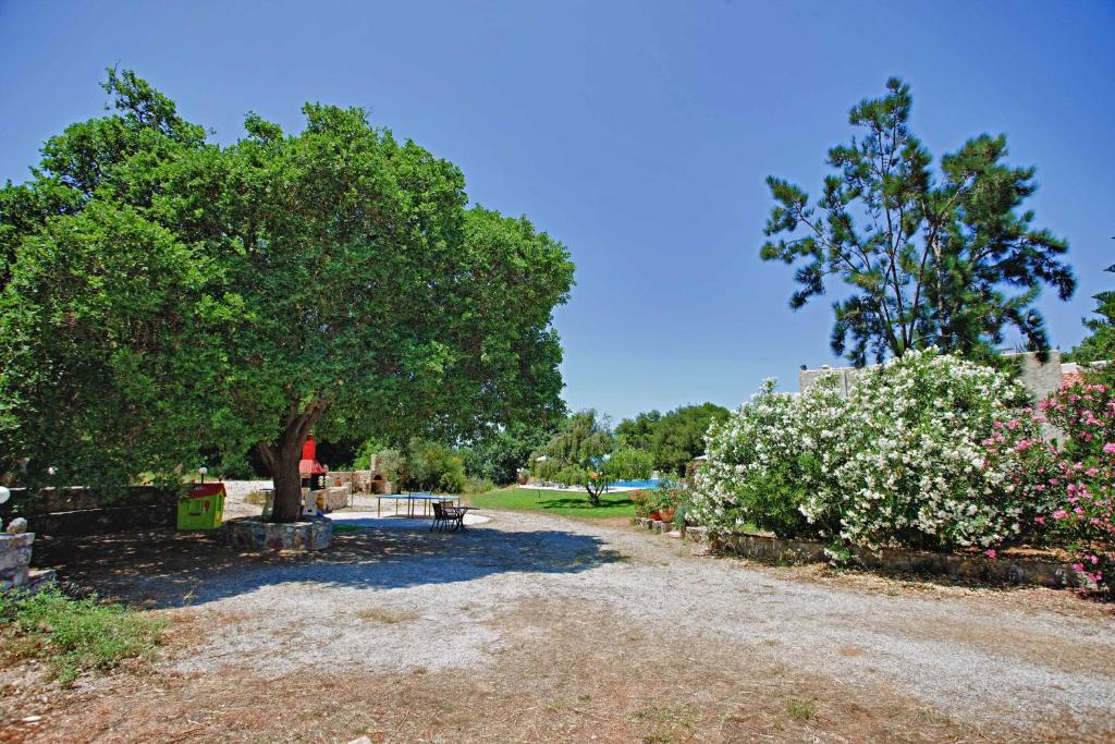 A garden outside Aphrodite Villa