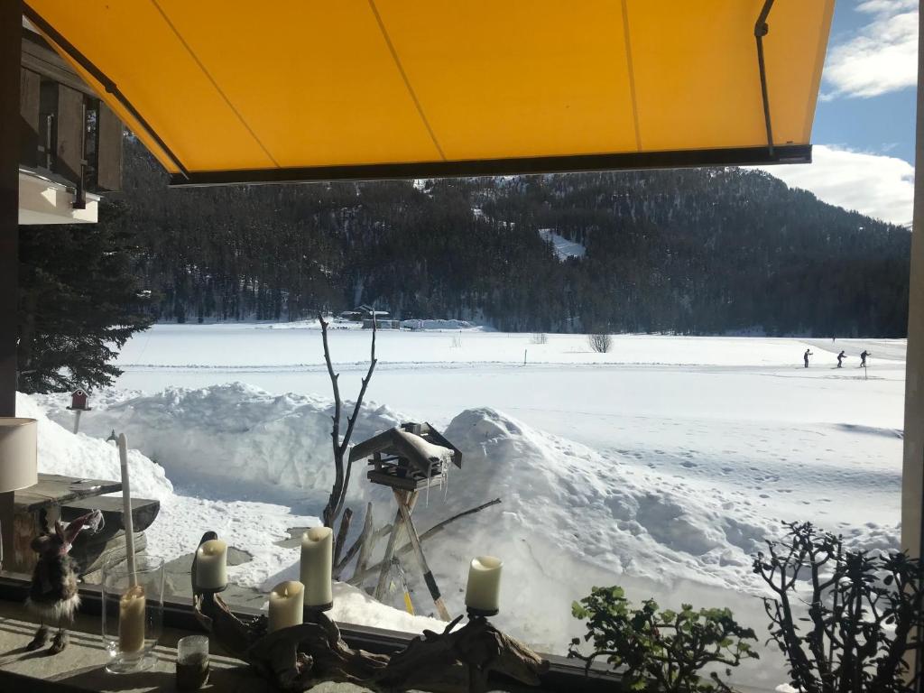 Příroda nedaleko apartmánu