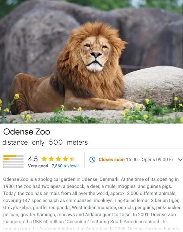 a page of a website with a lion sitting at City House in Odense