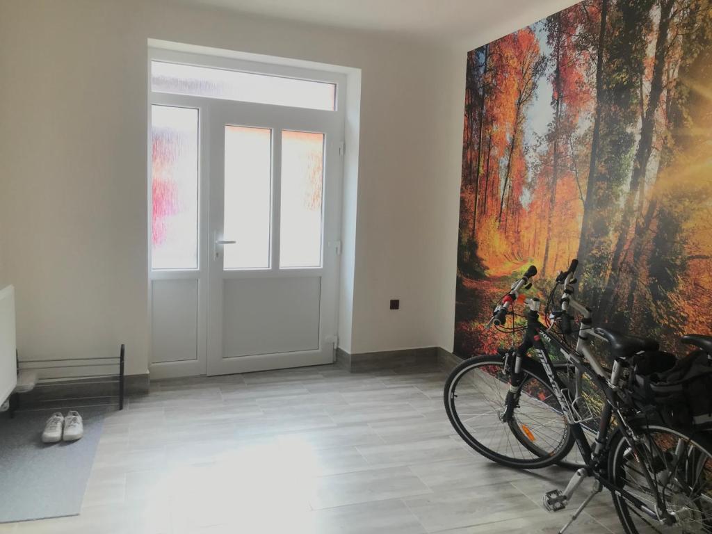 una habitación con una bicicleta estacionada frente a una puerta en Cyklo-Moto apartmán, en Lomnice nad Lužnicí