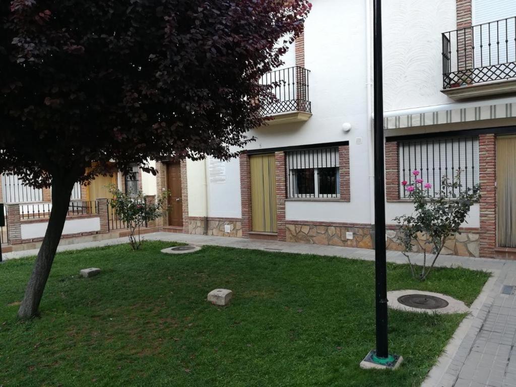 einen Innenhof mit einem Baum und einem Gebäude in der Unterkunft Casa Mirian in Arroyo Frio