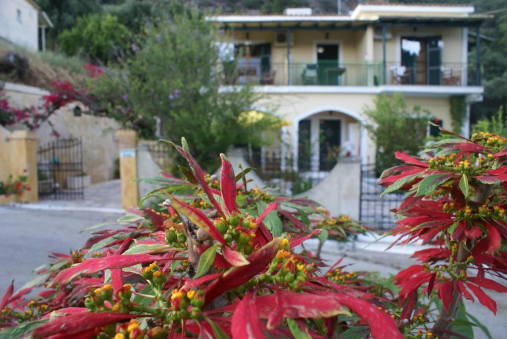 una casa con piante rosse davanti di Felicita a Paleokastritsa