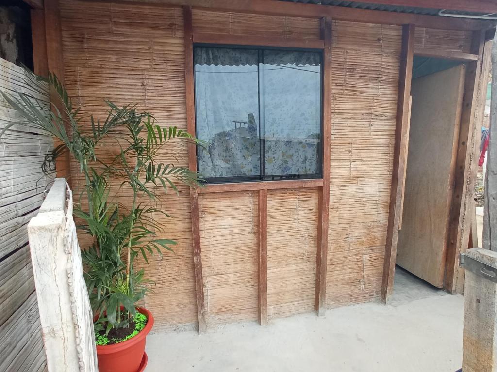 una puerta de madera con una ventana y una planta en Casa Canaima beach, en Zorritos
