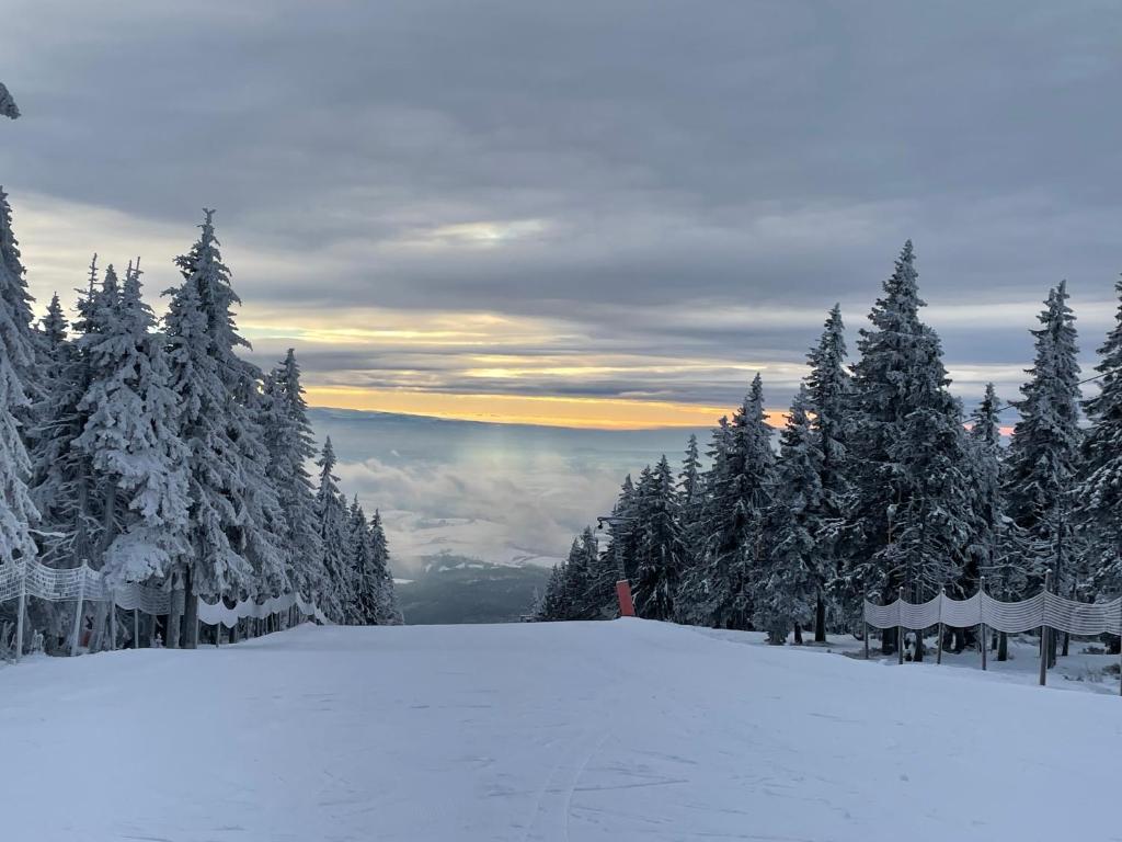 Apartmán Janské Lázně, Janske Lazne (updated prices 2024)