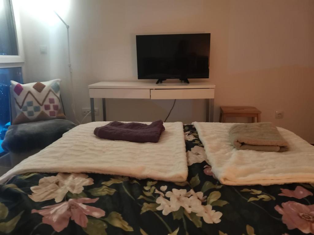 TV a/nebo společenská místnost v ubytování Divčibare Jezero apartman 25