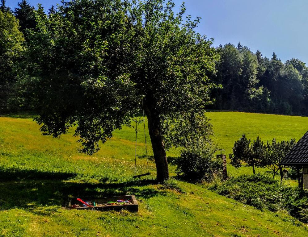 Příroda nedaleko prázdninového domu