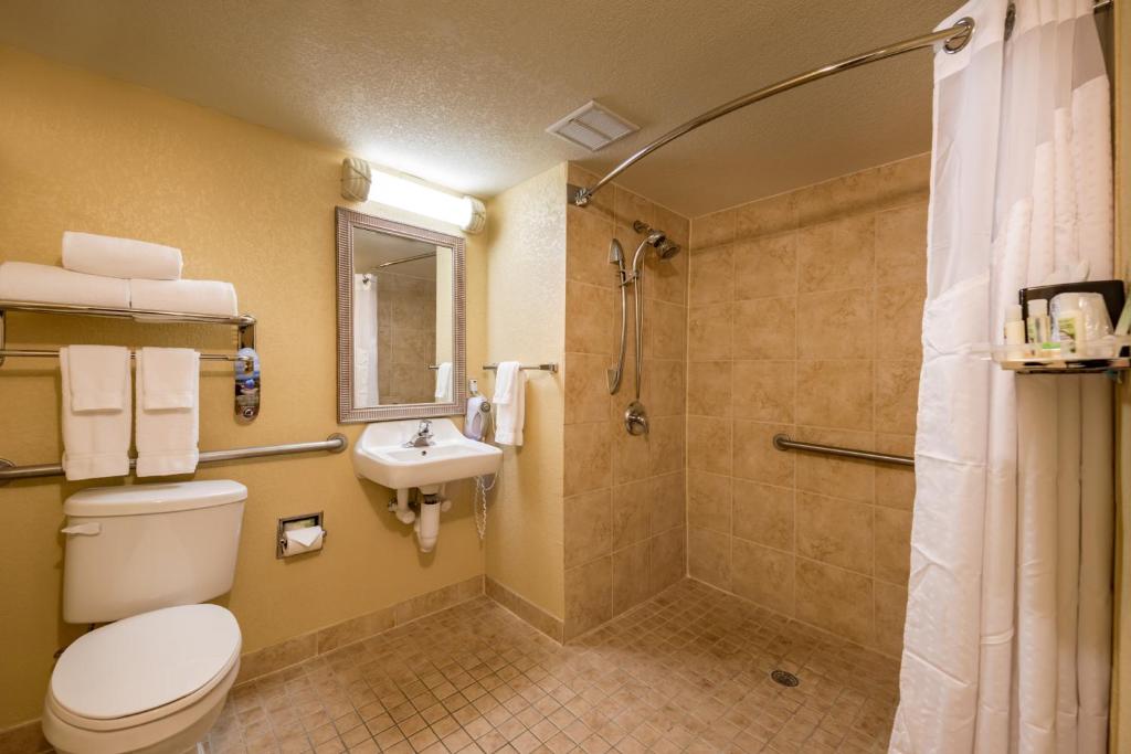 Holiday Inn & Suites Orlando SW - Celebration Area, an IHG Hotel - 