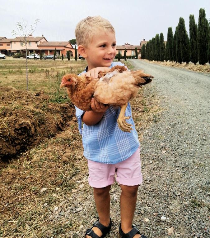 Děti v ubytování Fattoria Palazzeta - Pet & Family Friendly