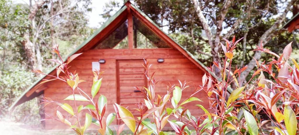Zahrada ubytování Glamping Rionegro- arrayanes
