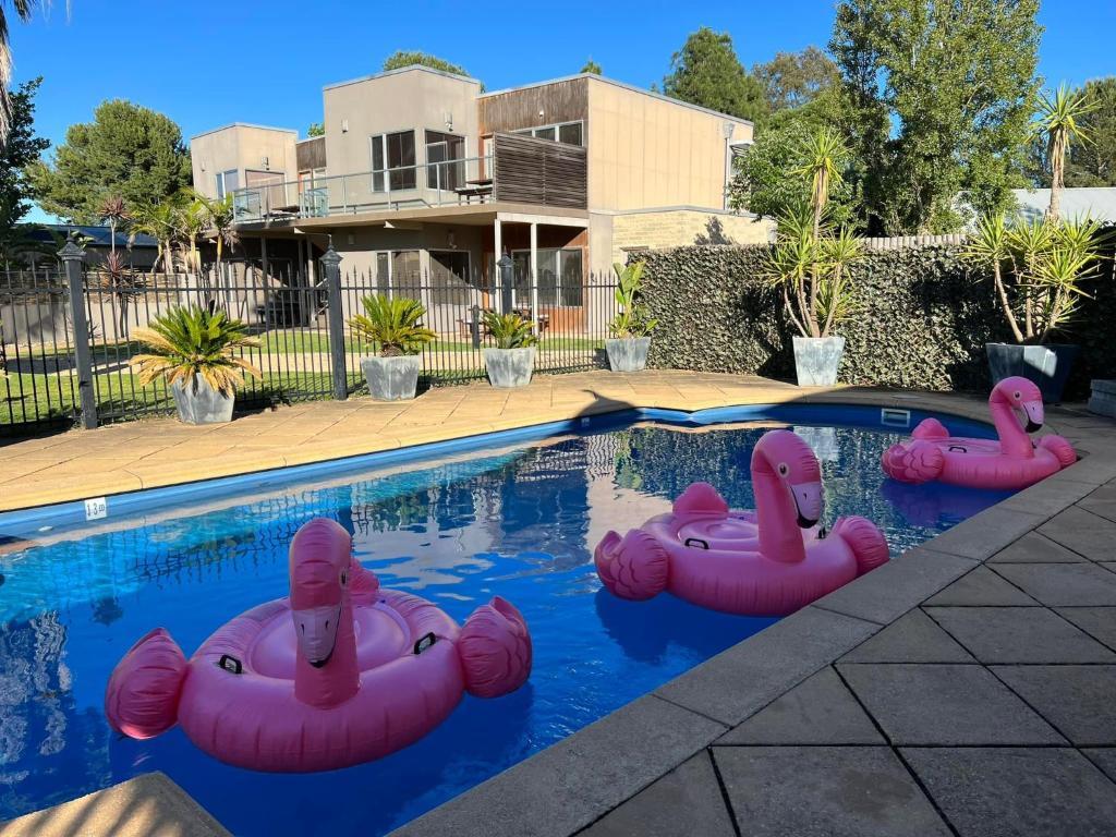 a pool with three pink inflatable flamingos in the water at Ultimate Barossa Retreats in Tanunda
