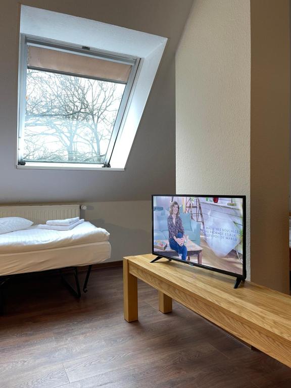TV a/nebo společenská místnost v ubytování Hotel Luther Birke Wittenberg