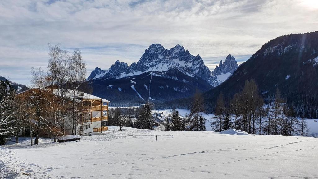 Gallery image of Im Wiesengrund Apartments in Sesto