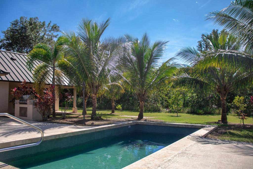 una piscina frente a una casa con palmeras en Legion at Morningstar Breeze Gold Standard Certified, en Hopkins