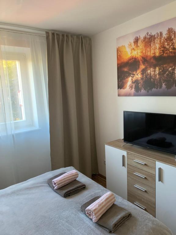 Televízia a/alebo spoločenská miestnosť v ubytovaní Karkonosze_Cieplice Zdrój