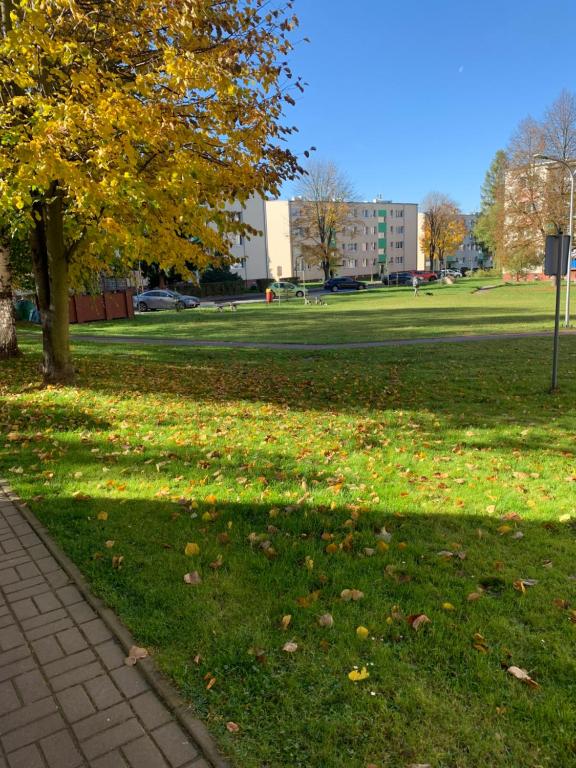 Vonkajšia záhrada v ubytovaní Karkonosze_Cieplice Zdrój