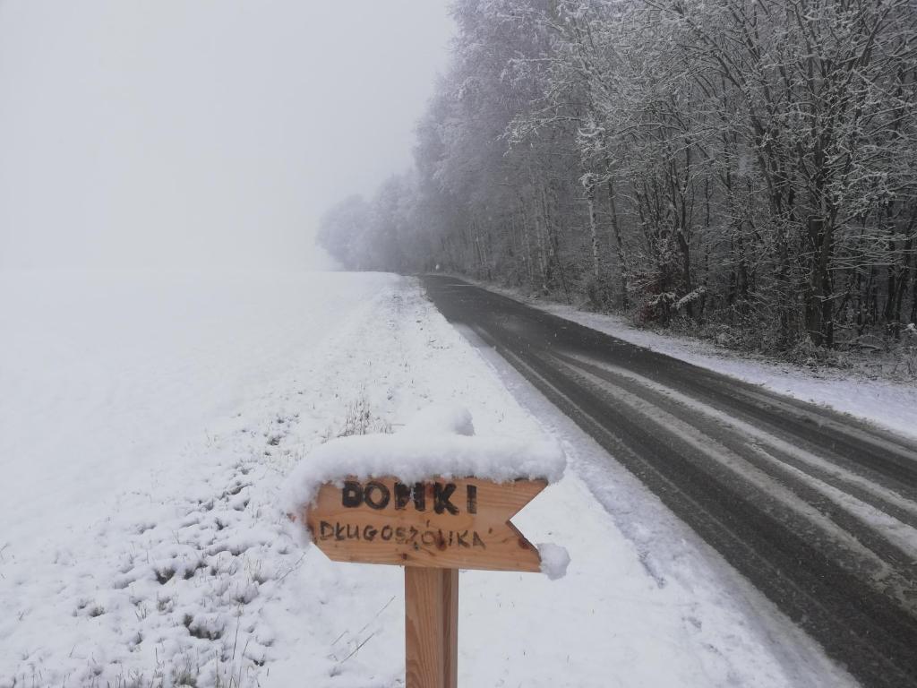Domki całoroczne DŁUGOSZÓWKA pod Rzeszowem, Jacuzzi-Sauna-Basen-Alpaki v zime