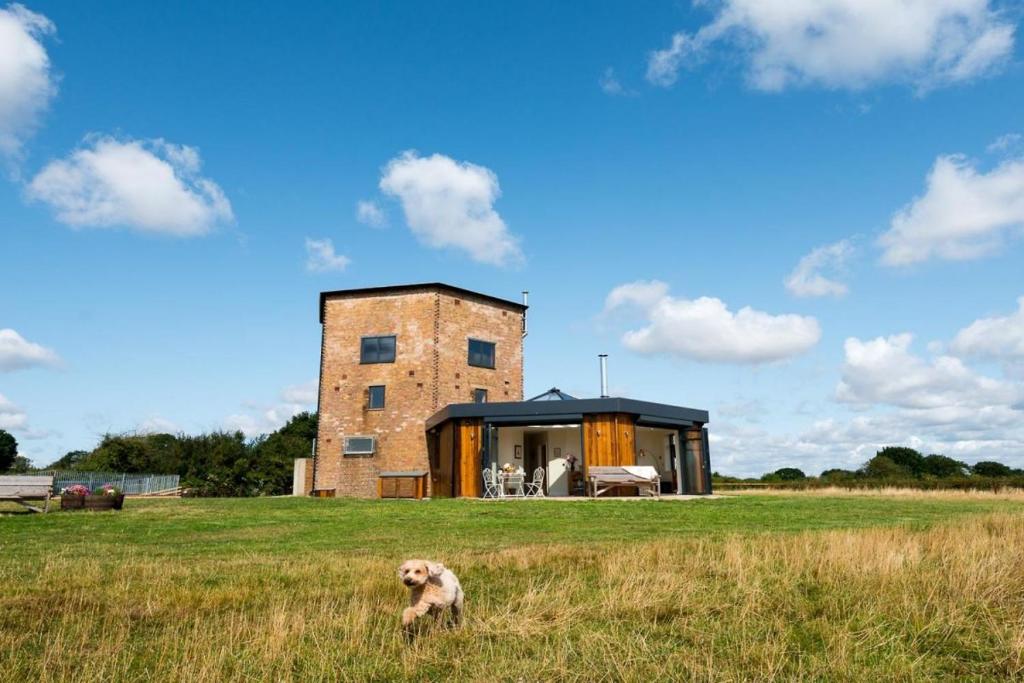 a dog standing in a field in front of a house at The Hexagon, wow what a location, views over the Essex marshes and sea in West Mersea