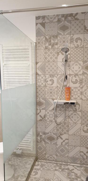 a shower with a shower head in a bathroom at Ferienwohnung zum Wohlfühlen in Lengerich
