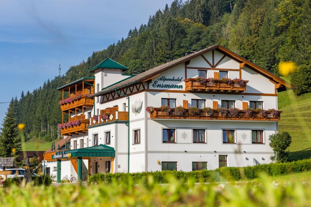 Příroda nedaleko hotelu