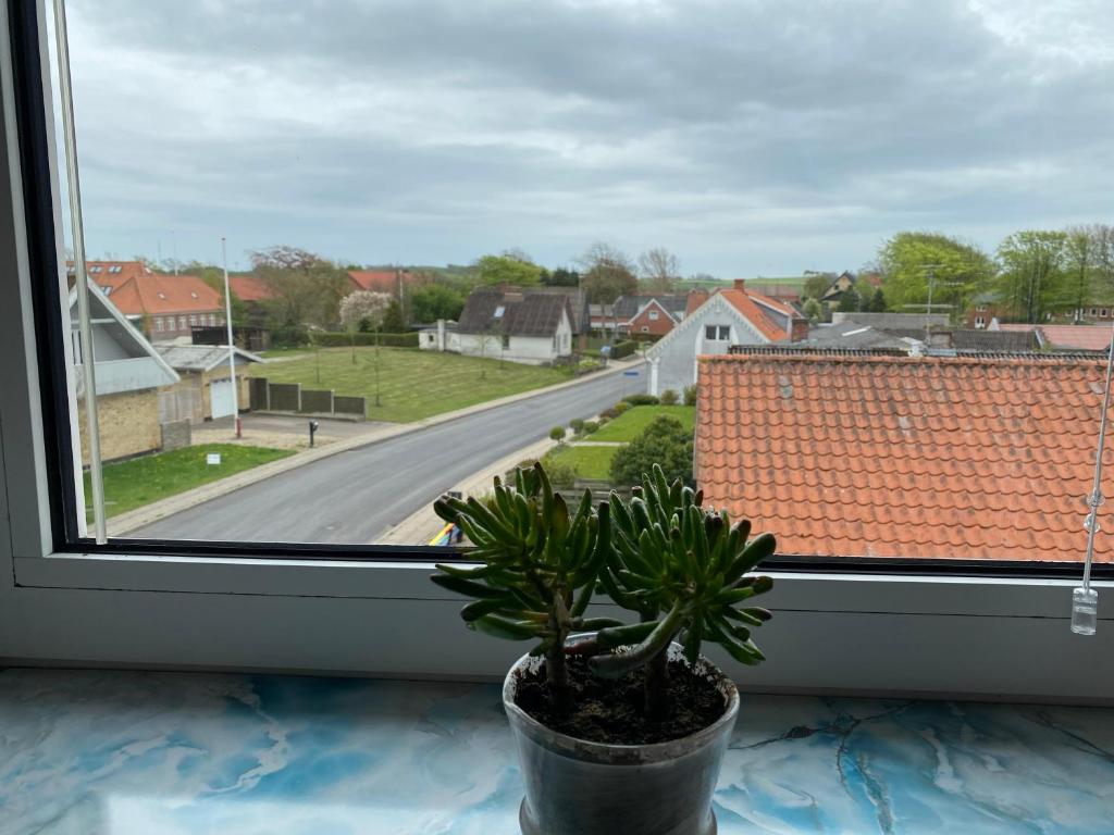 Okolí apartmánu