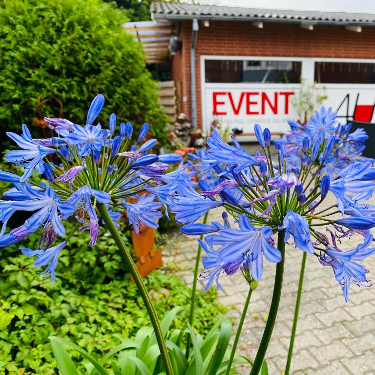Zahrada ubytování Apartment med udsigt over Nordmors